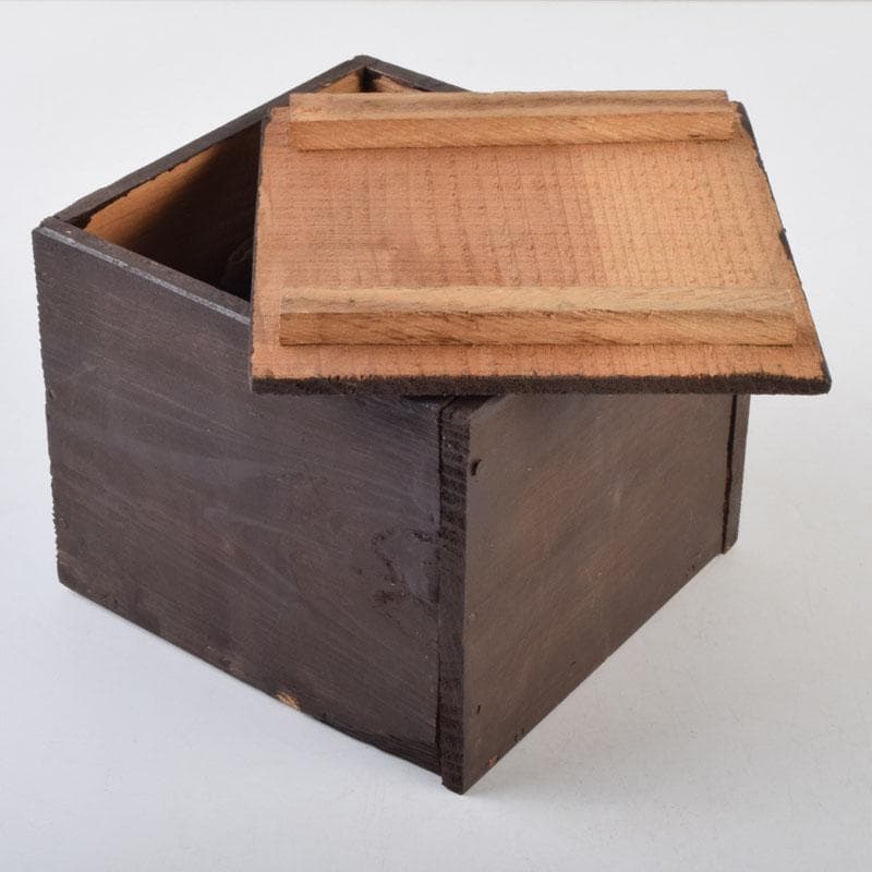 茶道具　井戸茶碗　時代箱付　V　9190