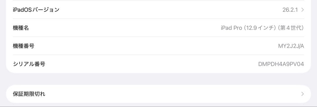 【美品】 iPad Pro 12.9第4世代 Wi-Fi バッテリー容量93%