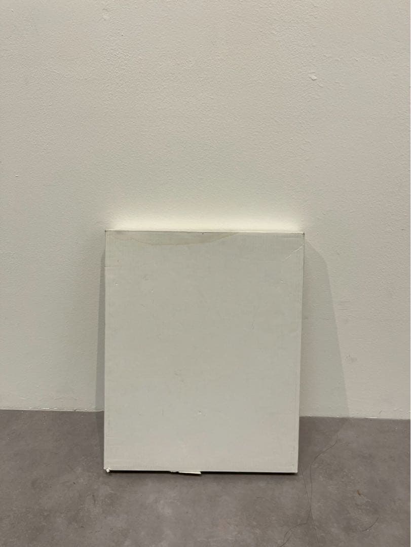 荒木経惟 ポラロイド写真 ヌード サイン入