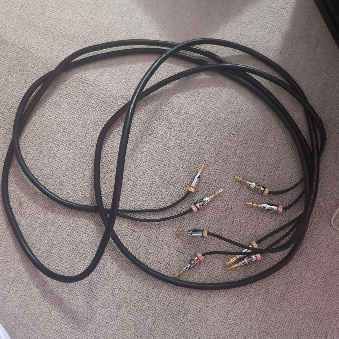 shin FOStex P804-S ほぼ新品