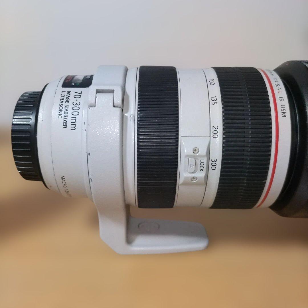 Canon EF 70-300mm F4.5-5.6L IS USM　白レンズ