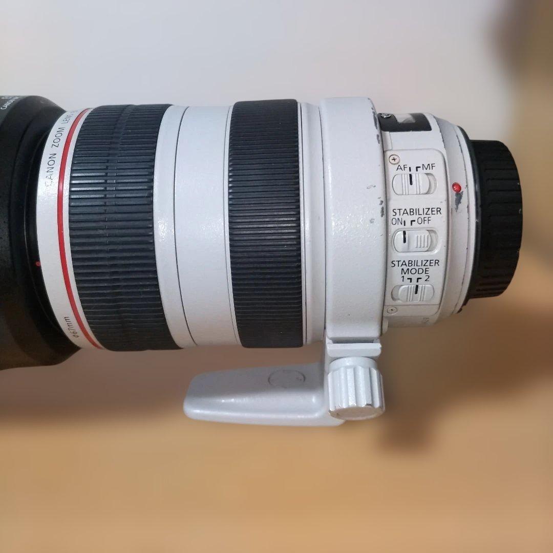 Canon EF 70-300mm F4.5-5.6L IS USM　白レンズ