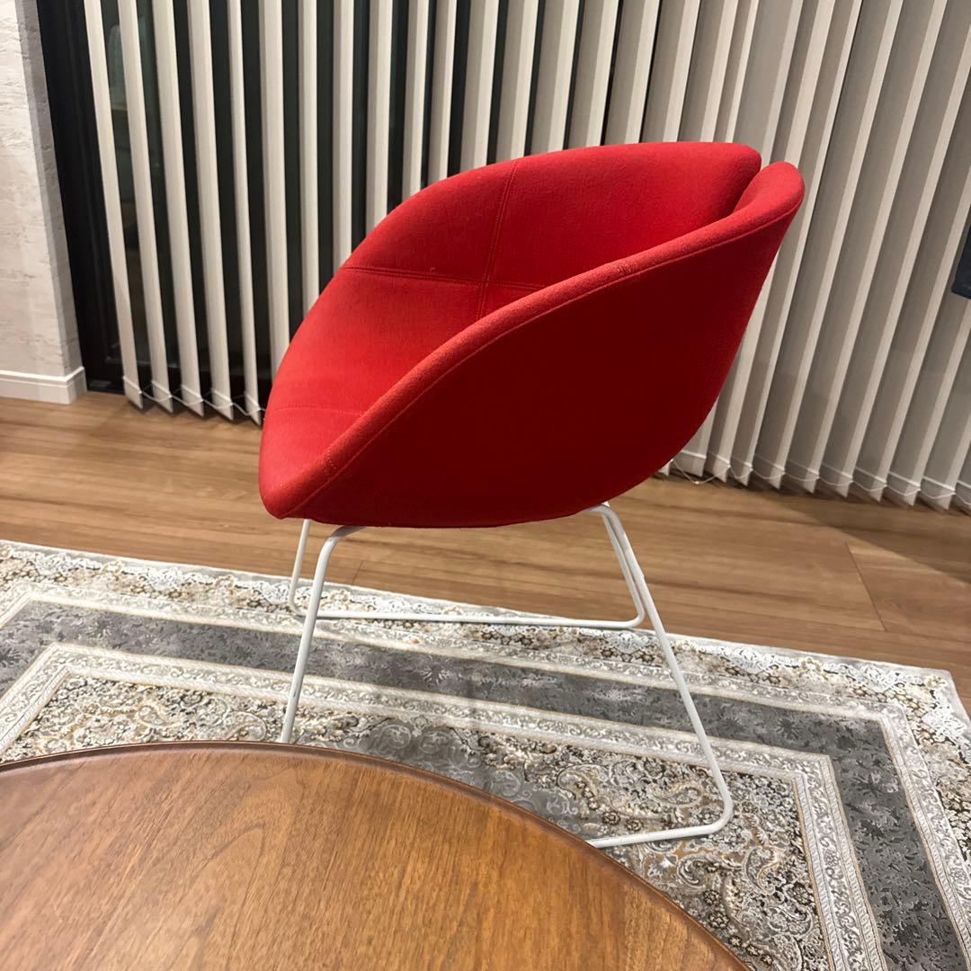 イタリア　チェアー　MOROSO モローゾ