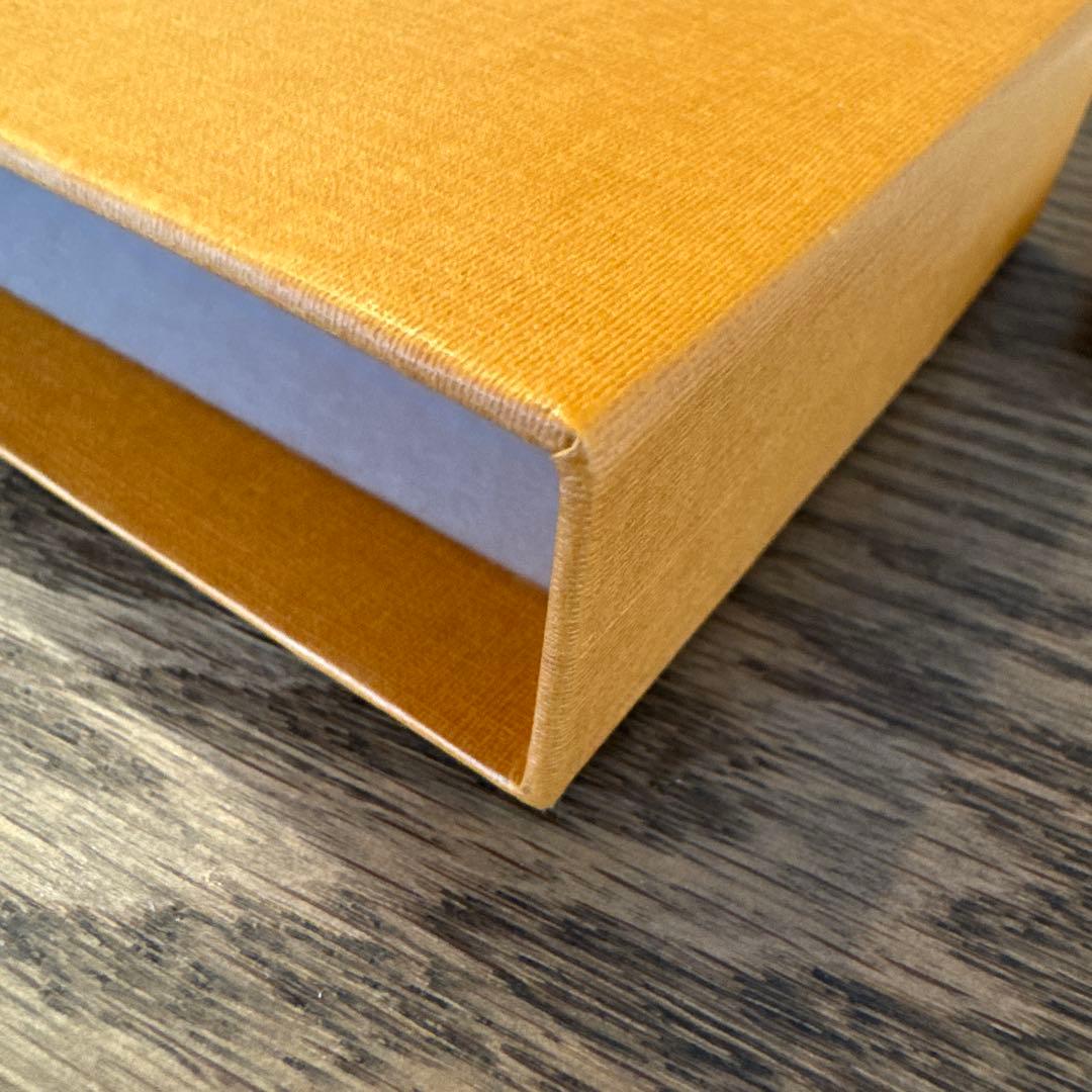 極美品 鑑定OK! LOUIS VUITTON 名刺入れ エピ 未使用 正規品