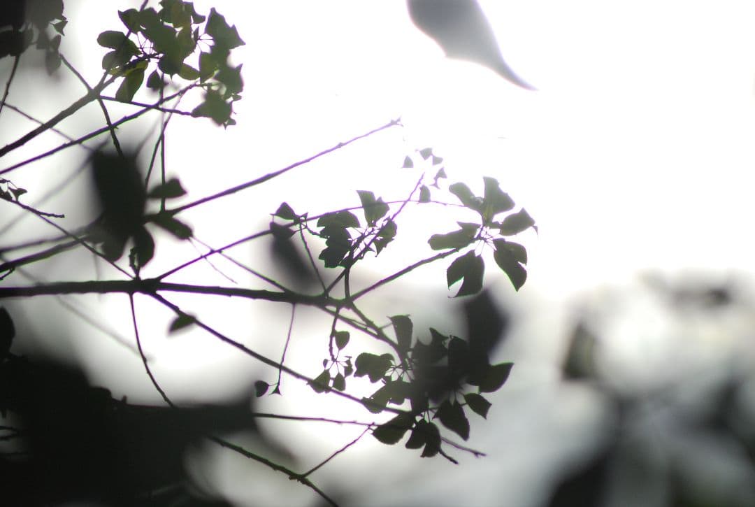 スマホ転送可作例あり Nikon D80 一眼レフデジタルカメラ 電池 レンズ