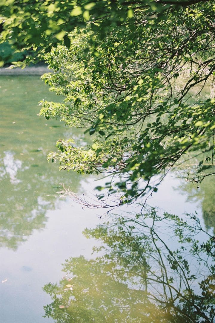 【撮影済み】Canon T90 レンズ付き 一眼レフフィルムカメラ