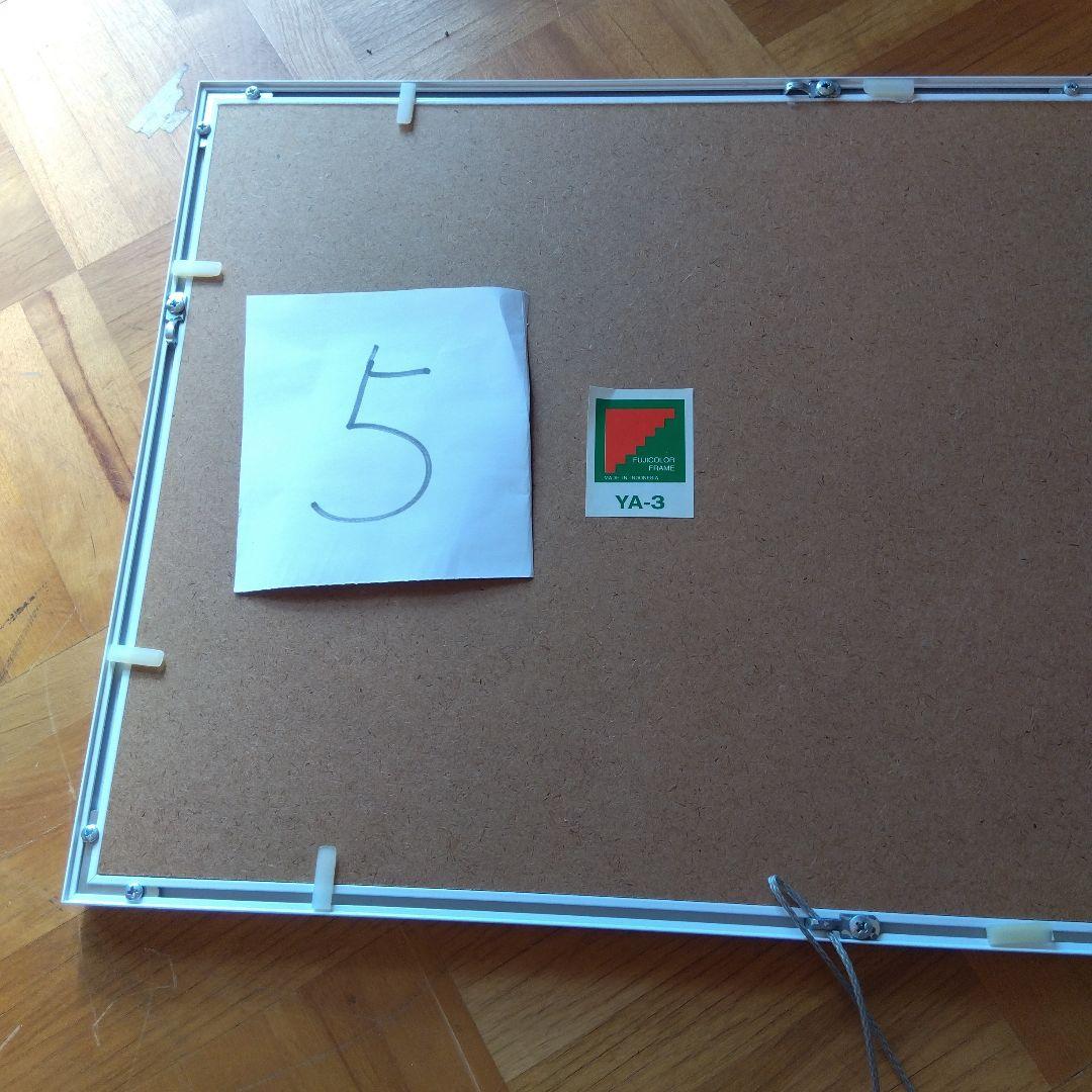 FUJIFILM写真展示用フレーム 全紙２ 　全紙3枚組２　 半切２　4切