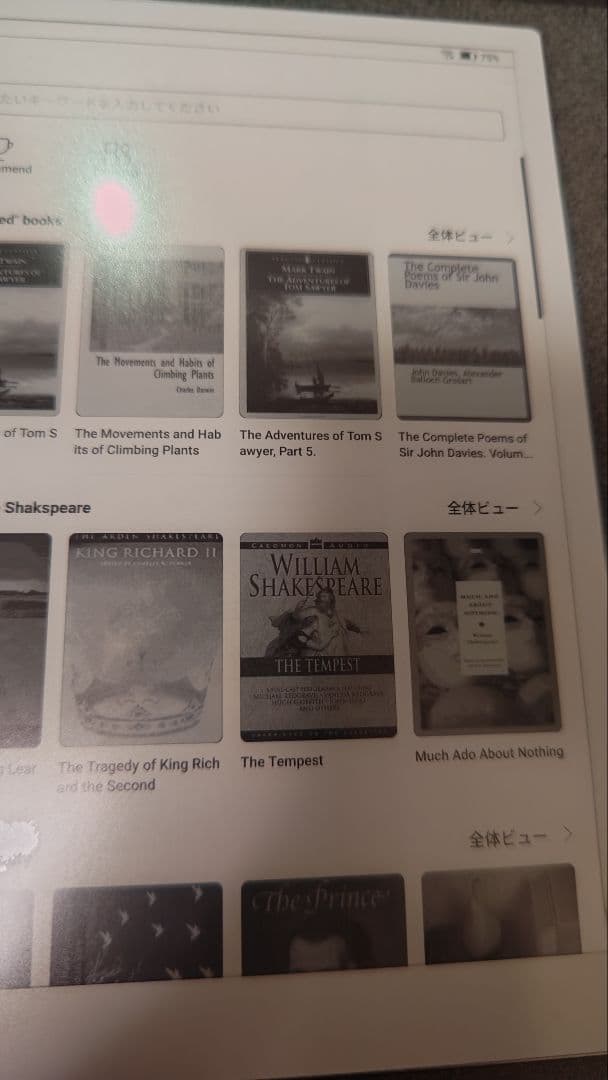 BOOX Go 10.3　ペン、ケース付き