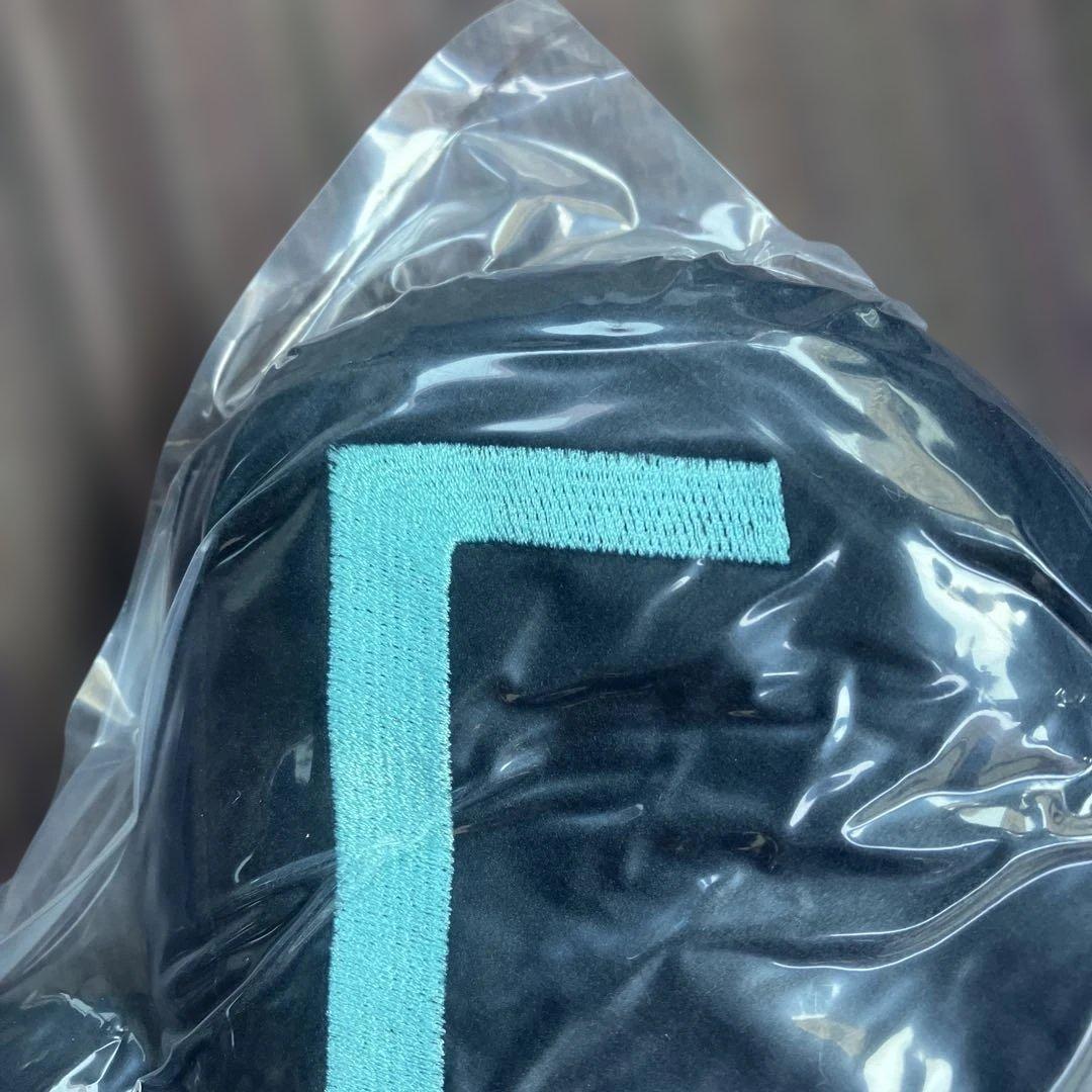 tiktok■ティックトック■音符クッション■非売品■限定インフルエンサー未開封