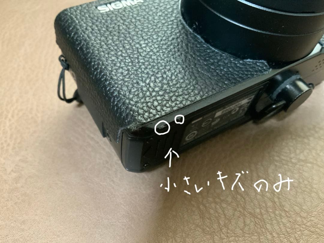 【希少美品】SIGMA DP2s（APS-Cセンサーの最強高級コンデジ）