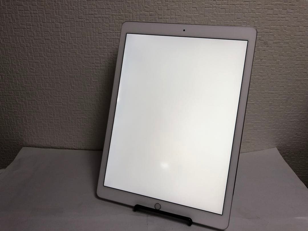 iPad Pro 12.9インチ（第2世代）Wi-Fiモデル256GB No33