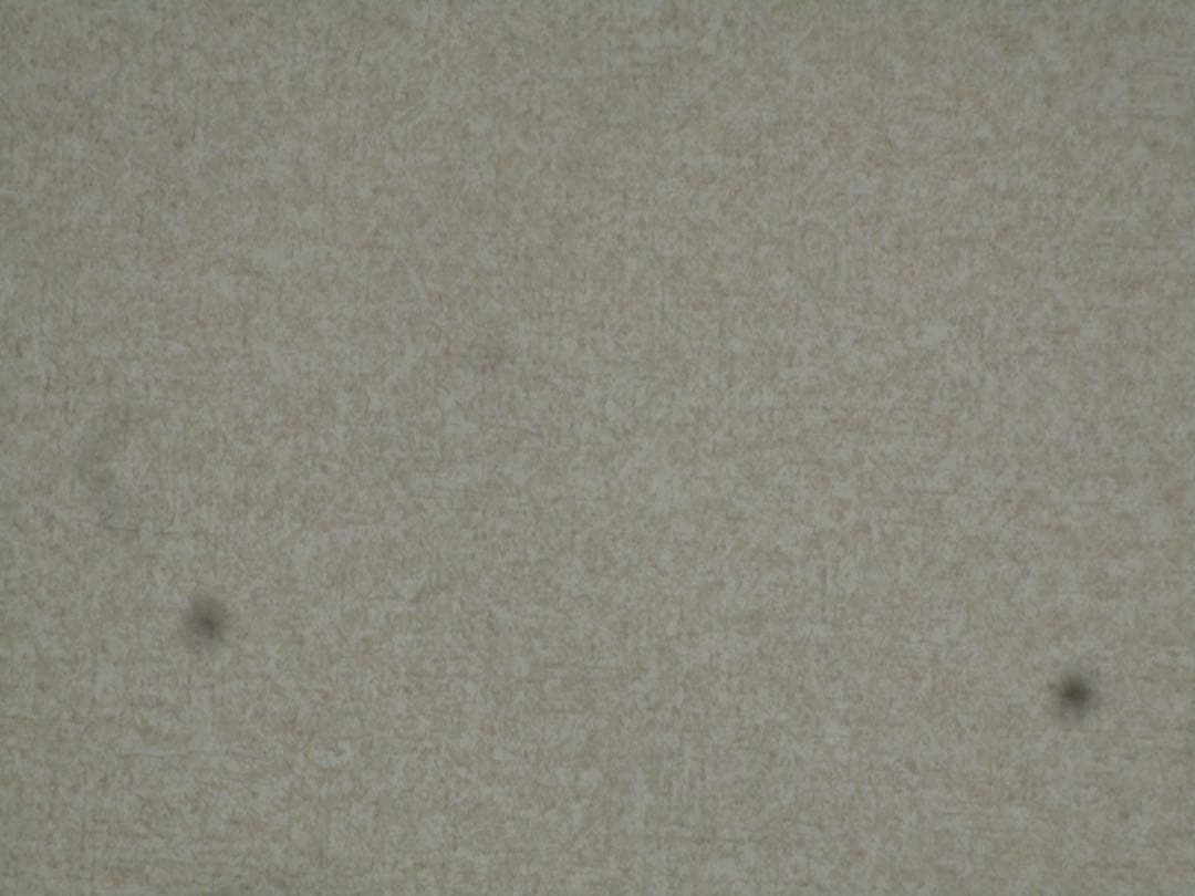 難有特価✨Canon IXY 200✨動作確認済 スマホ転送OK CCD 可愛い