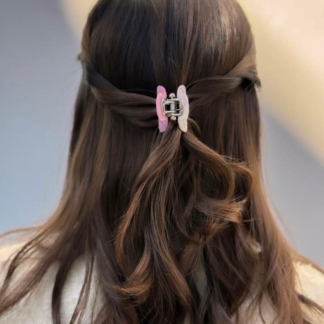 acca ダブルフェイスクリップ Sサイズ スモール