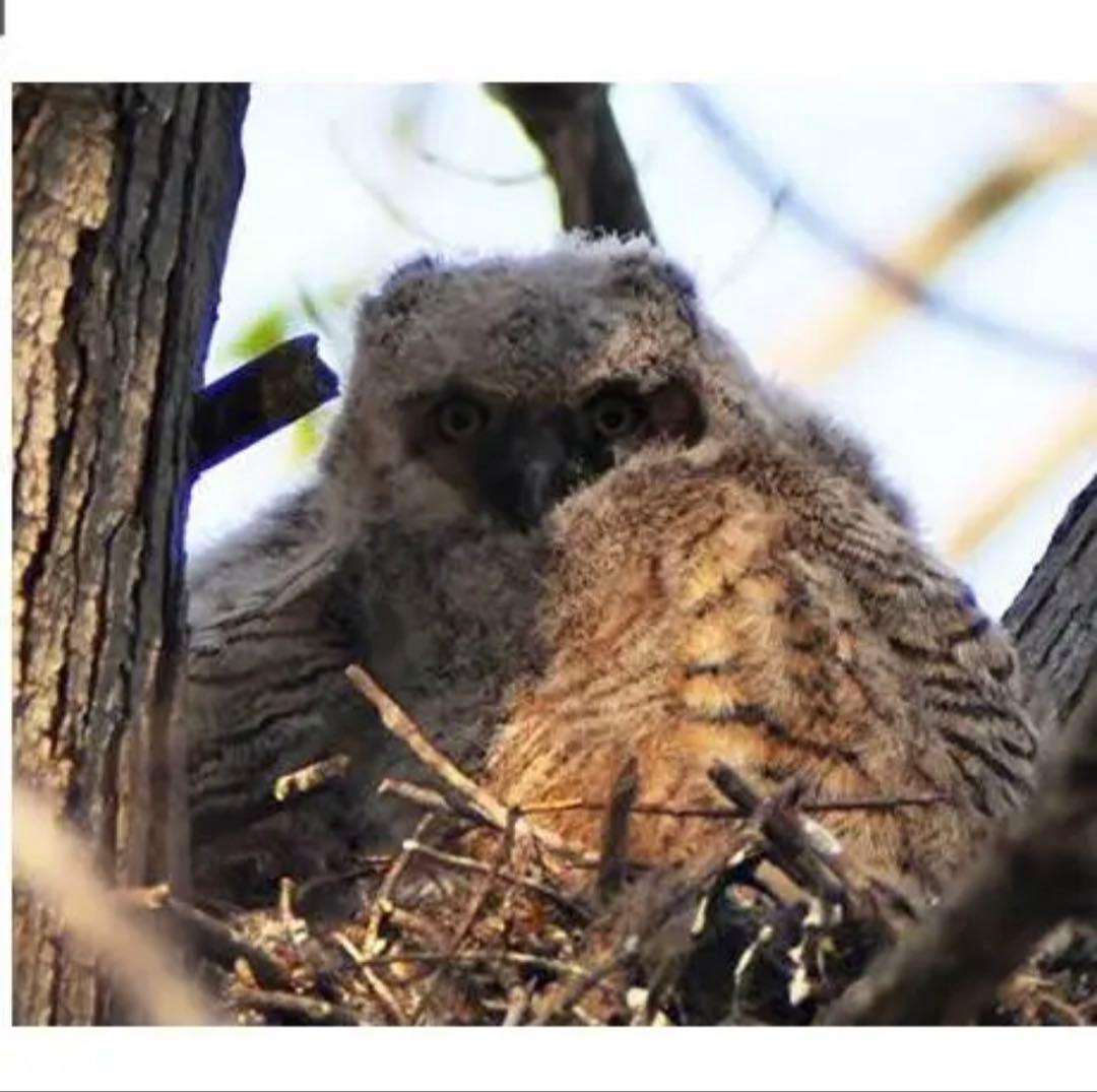 Canon一眼レフ用ズームレンズ！初心者サポート！袋付き！即決OK アダプター付