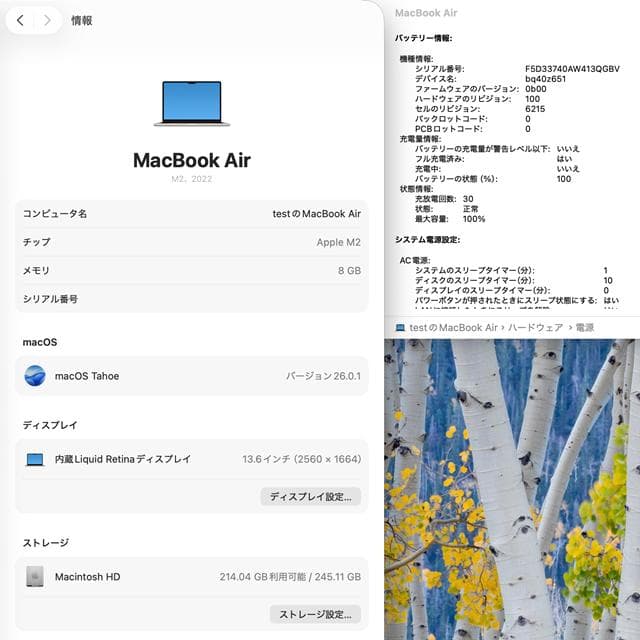 【美品】MacBook Air 13 2022_M2/8GB/256GB_STL