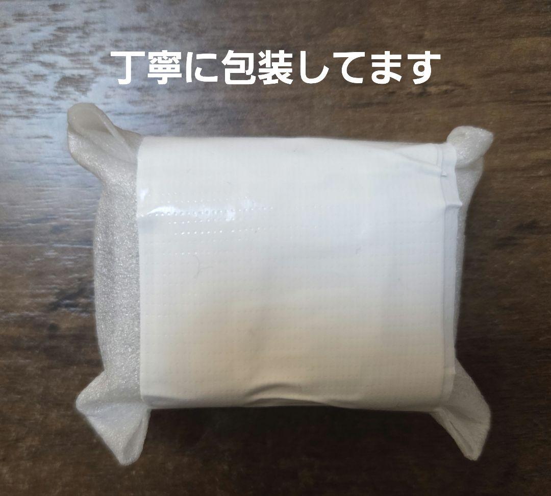 イヤホン SONY WF-1000XM5 BLACK