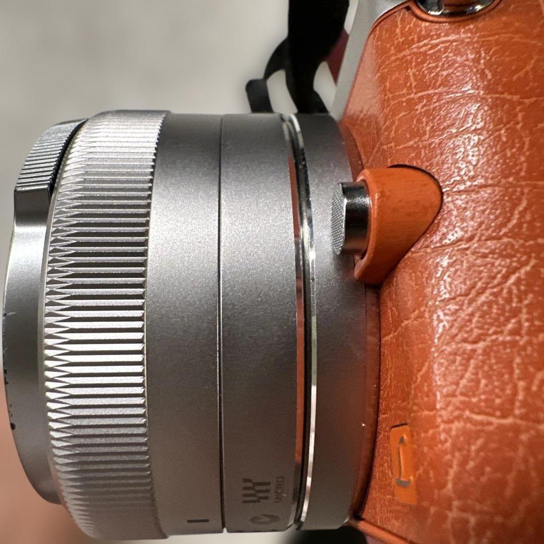 LUMIX DMC-GM1 オレンジ