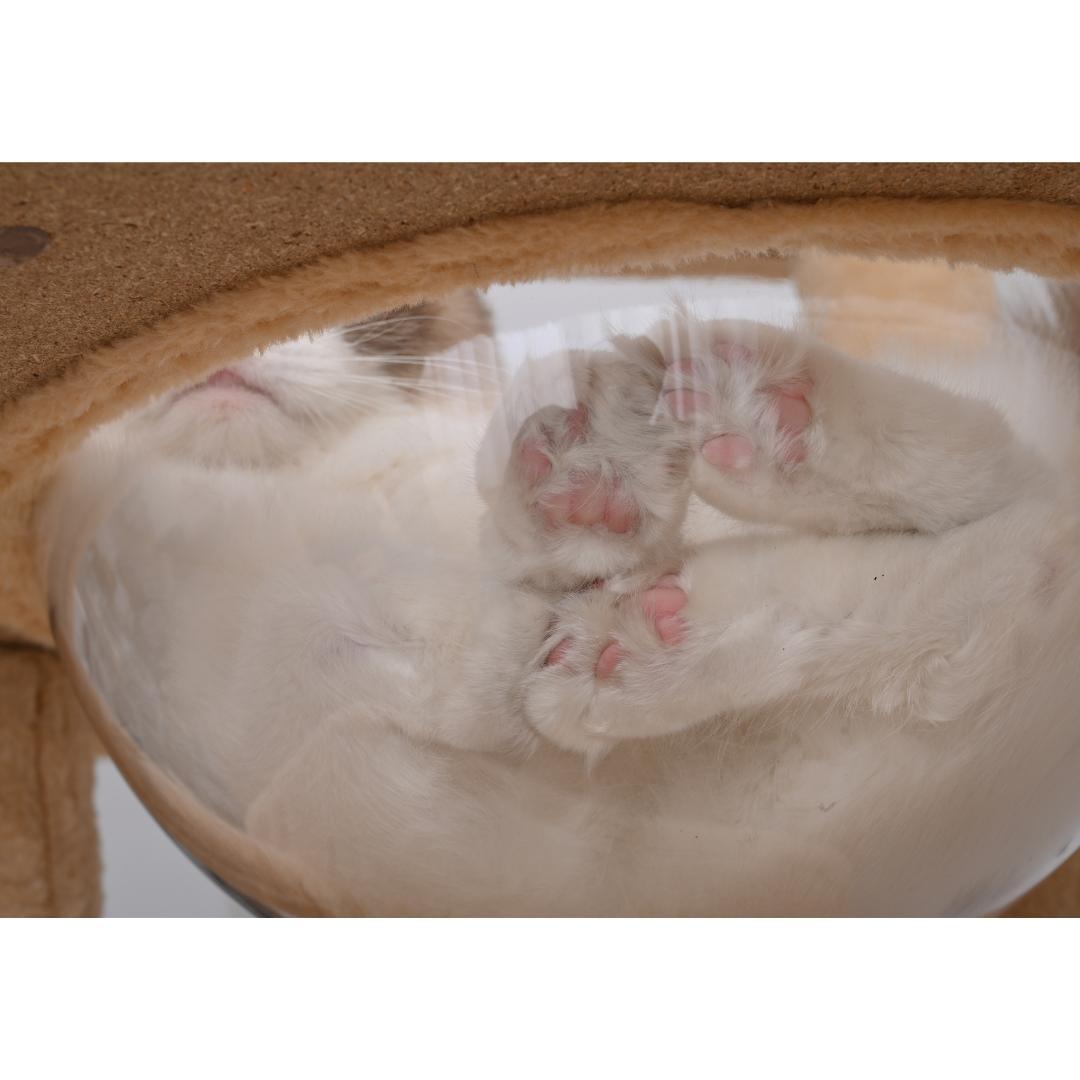 据え置き型 麻紐 爪とぎ 多頭飼い 宇宙船キャットタワー 据え置き型【ベージュ】