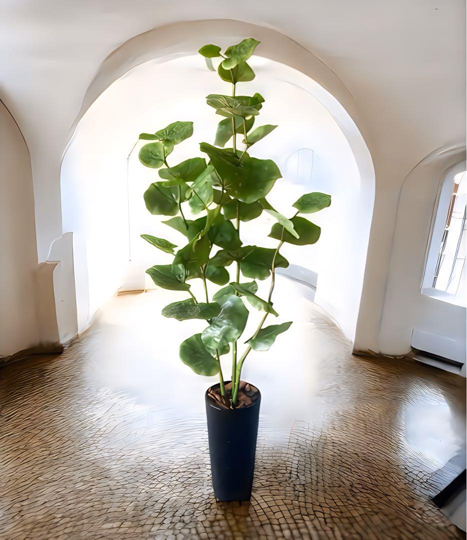 光触媒　人工観葉植物　ウォールグリーン　フェイクグリーン　シーグレープ120