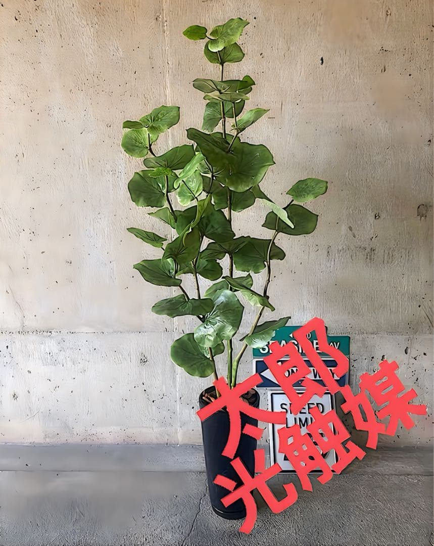 光触媒　人工観葉植物　ウォールグリーン　フェイクグリーン　シーグレープ120