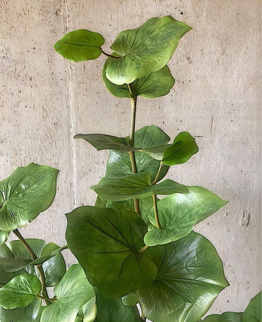 光触媒　人工観葉植物　ウォールグリーン　フェイクグリーン　シーグレープ120