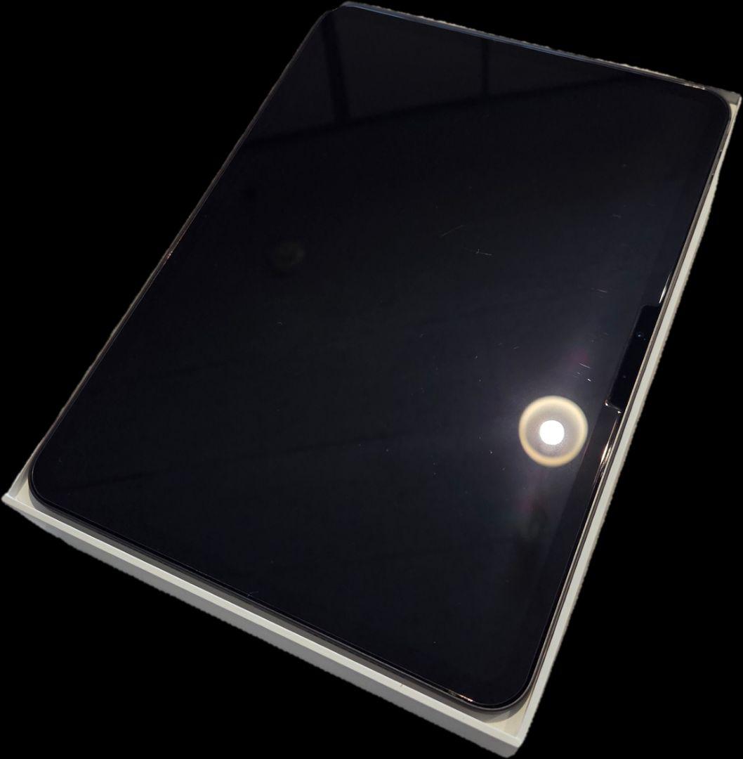 Apple 11インチiPad Pro (M4) WiFi オマケ×2