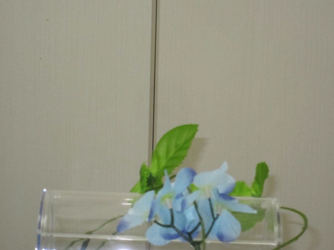 Canon カメラ　IXY 220IS PC1430 充電器 箱　コンデジ　可動