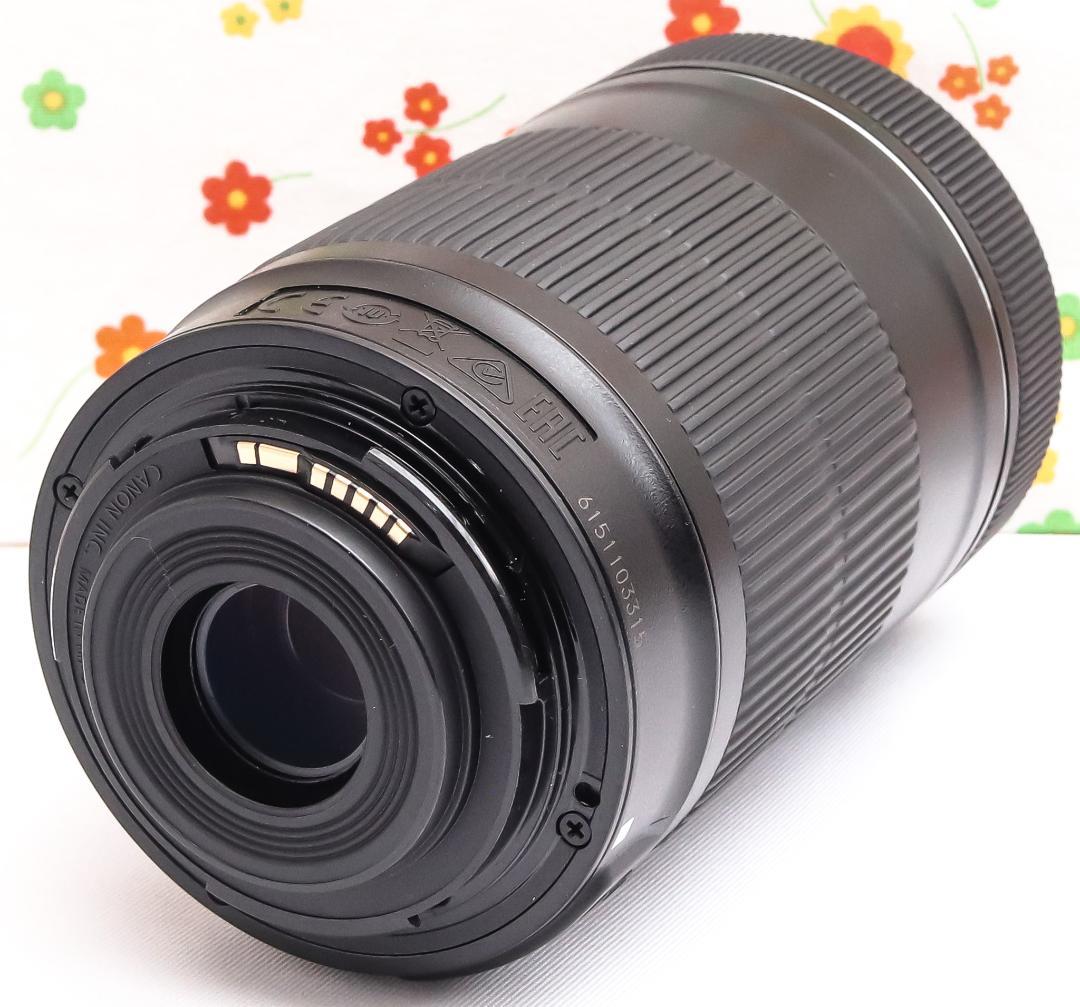 Canon EF-S 55-250mm IS STM ☆ブレずに捉える望遠レンズ