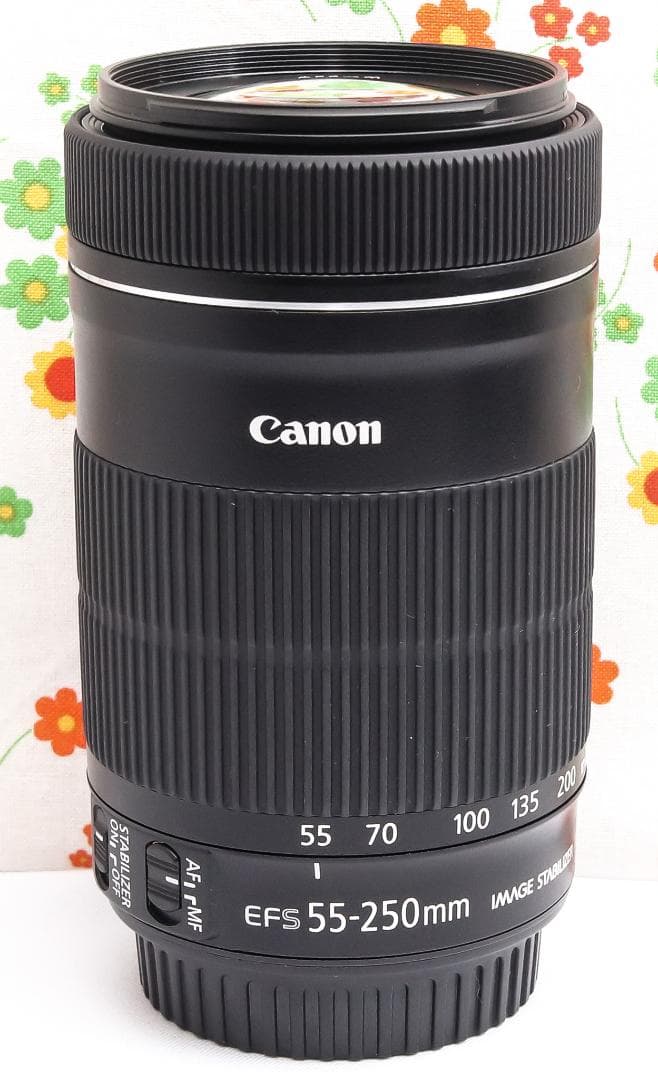 Canon EF-S 55-250mm IS STM ☆ブレずに捉える望遠レンズ