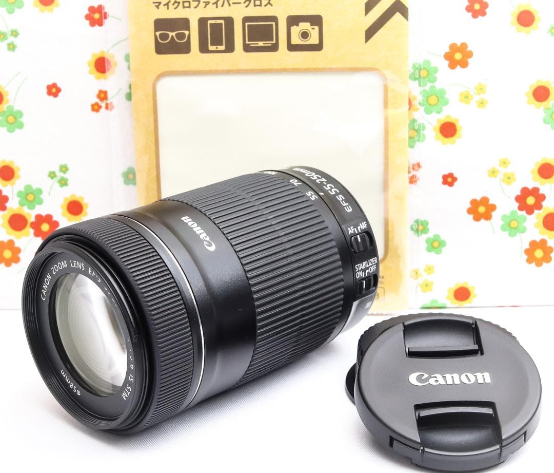 Canon EF-S 55-250mm IS STM ☆ブレずに捉える望遠レンズ