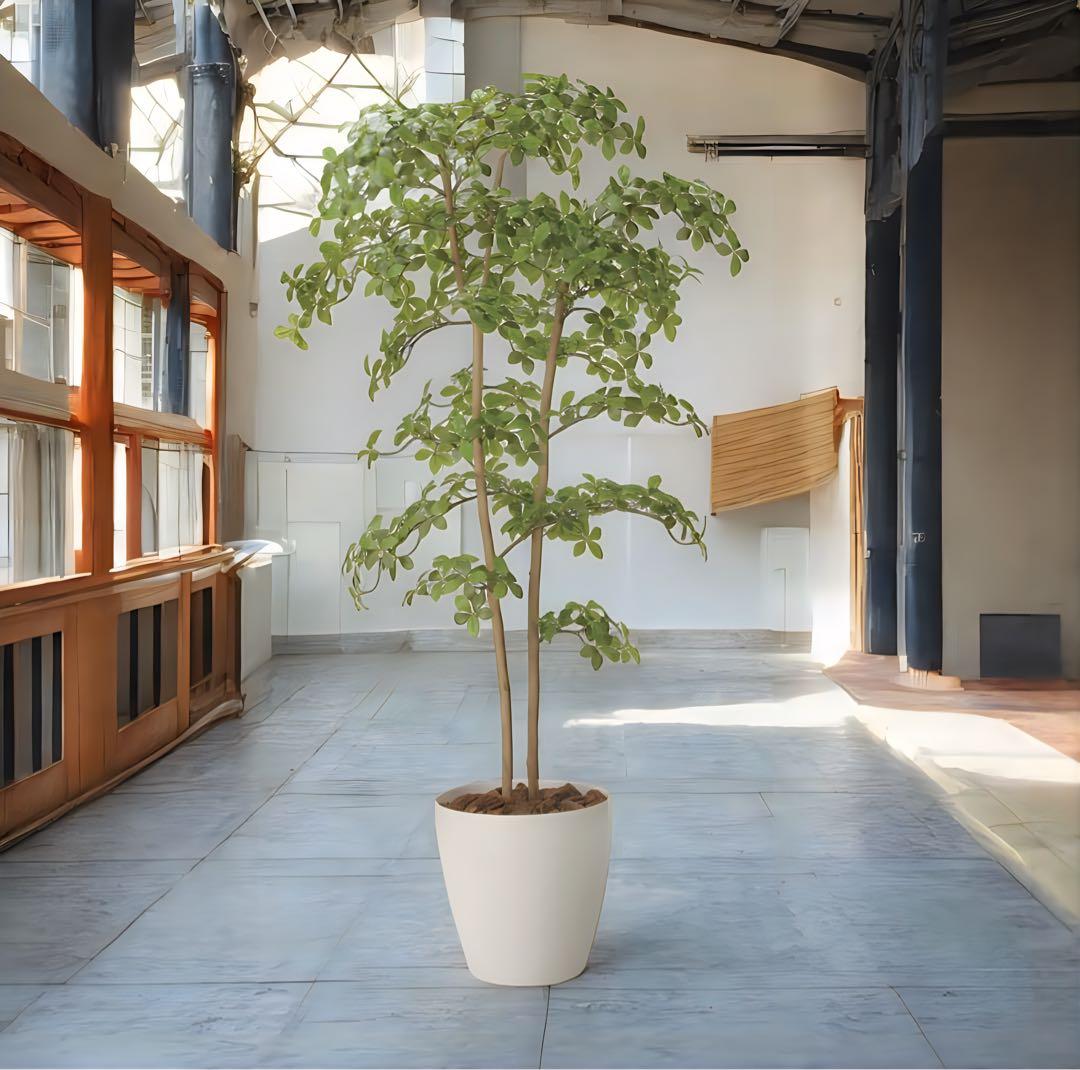 光触媒　人工観葉植物　ウォールグリーン　フェイクグリーン　アーモンドツリー1.8