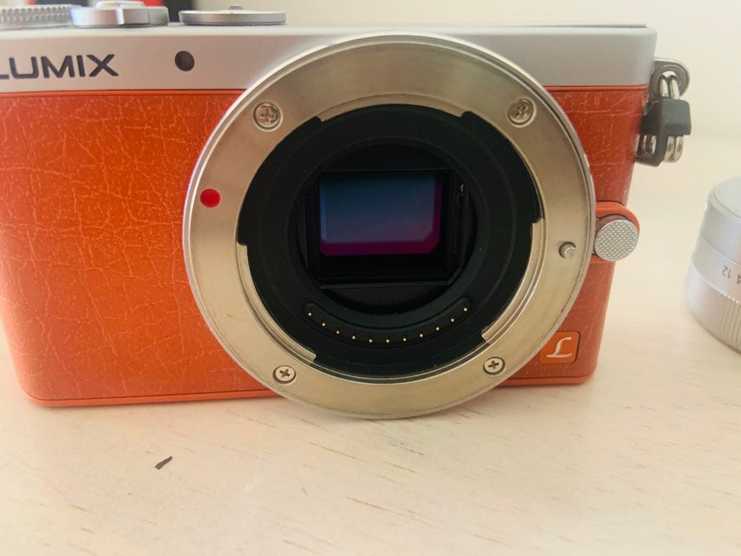 デジタルカメラ Lumix GM1