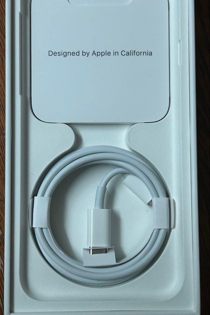 iphone 本体se2 チャンハン