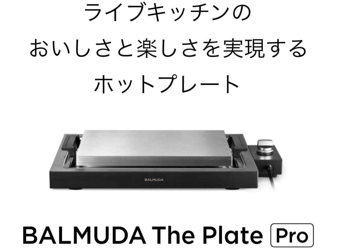 【新品】バルミューダ（BALMUDA）プレート ヘラ付き
