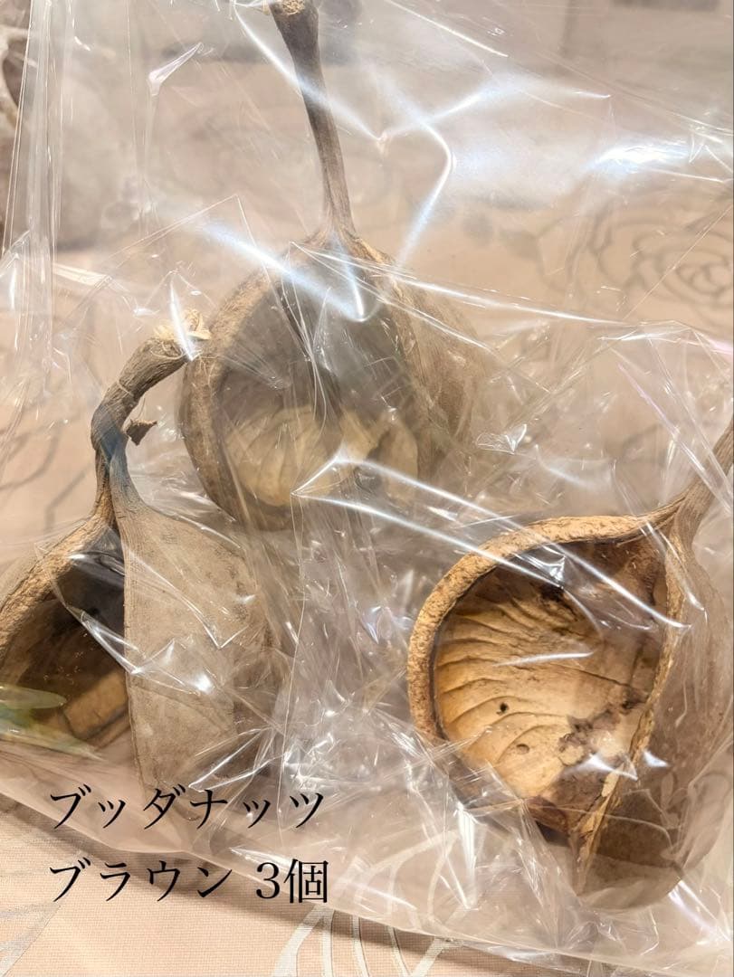 大地農園〜他花材、アレンジ雑貨まとめ売り☆赤字覚悟の出品です‼️