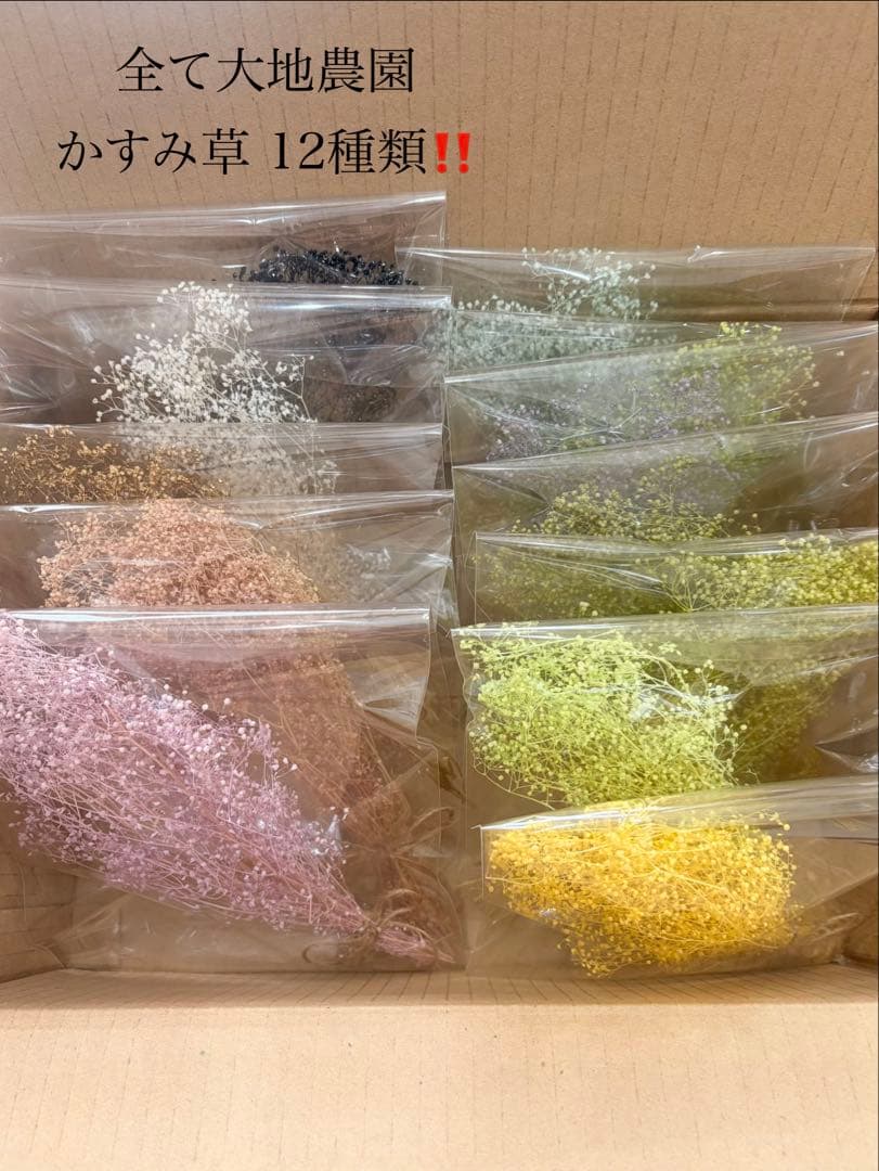 大地農園〜他花材、アレンジ雑貨まとめ売り☆赤字覚悟の出品です‼️