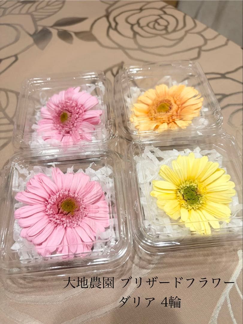 大地農園〜他花材、アレンジ雑貨まとめ売り☆赤字覚悟の出品です‼️