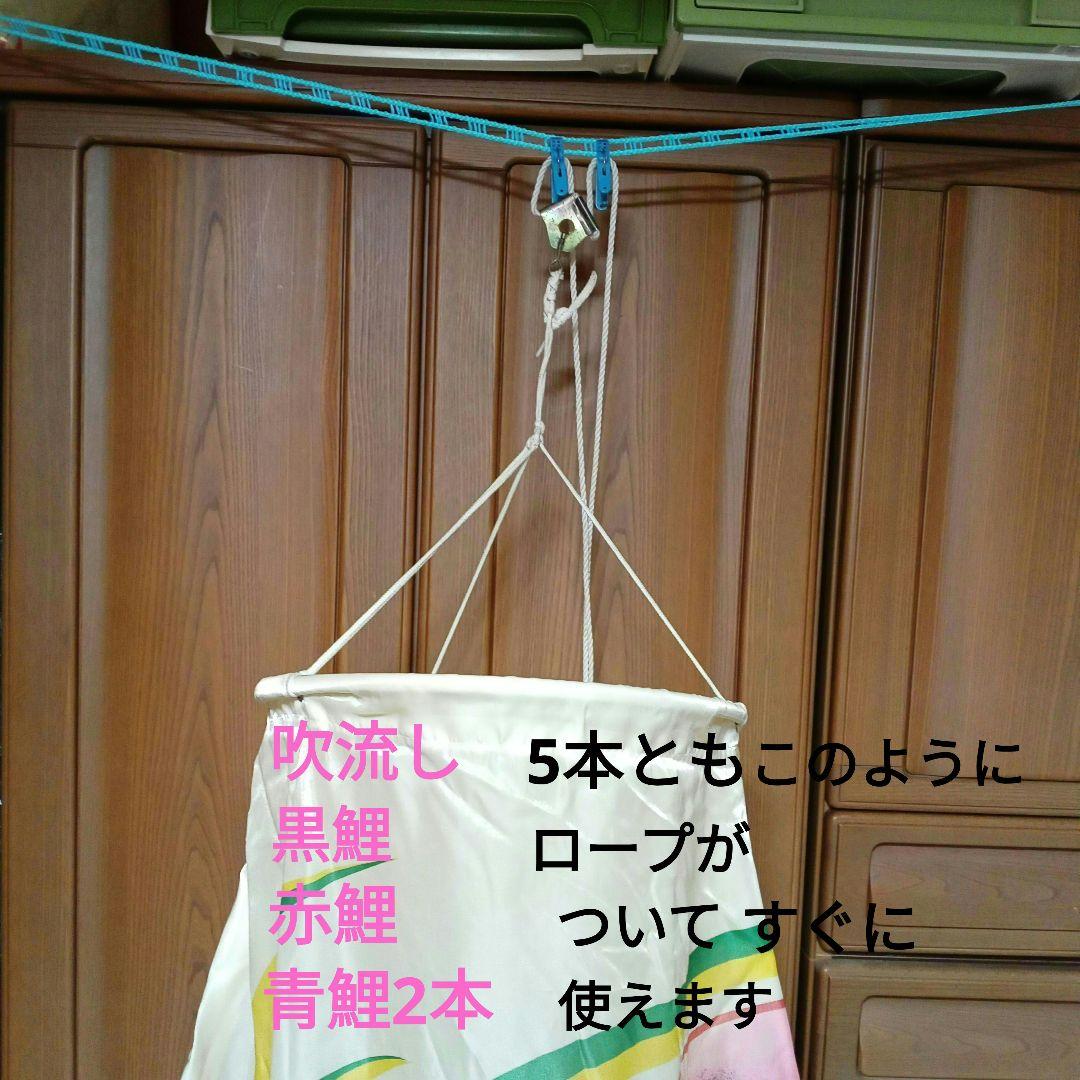 鯉のぼり 5メートル