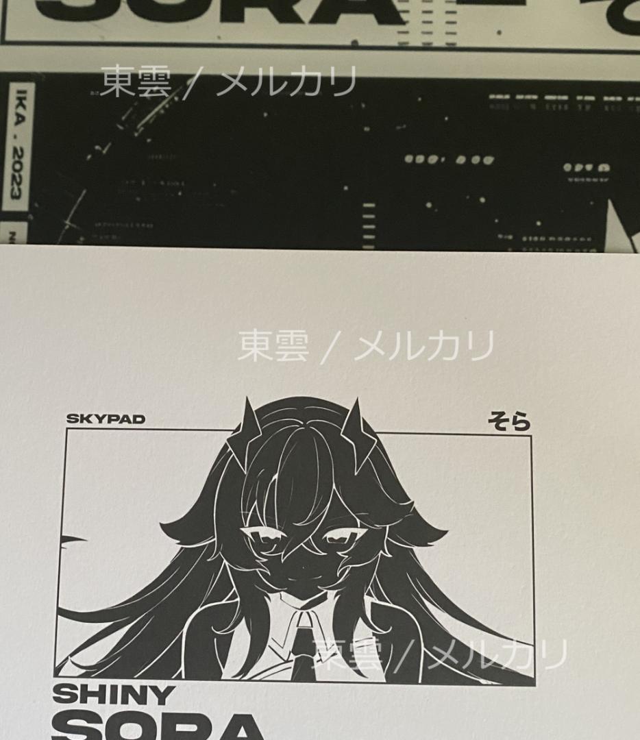 SKYPAD WALL HACK スカイパッド SHINY SORA 美品