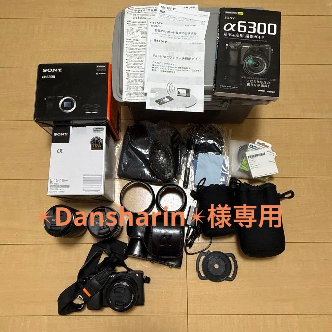 SONY α6300ミラーレス一眼カメラ　レンズ3個　その他 ショット数3733