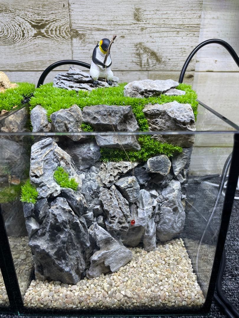 アクアテラリウム　気孔石　No.5-no.4set