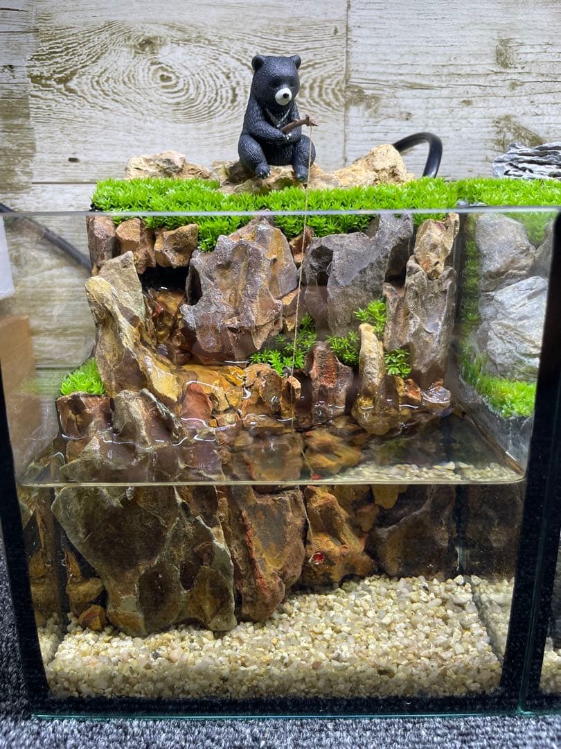 アクアテラリウム　気孔石　No.5-no.4set