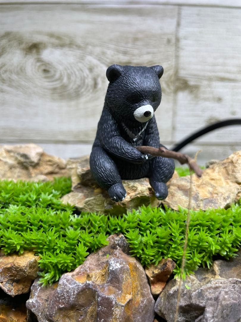 アクアテラリウム　気孔石　No.5-no.4set