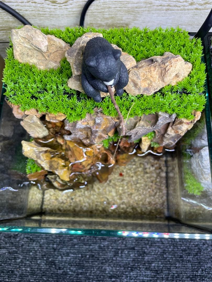 アクアテラリウム　気孔石　No.5-no.4set