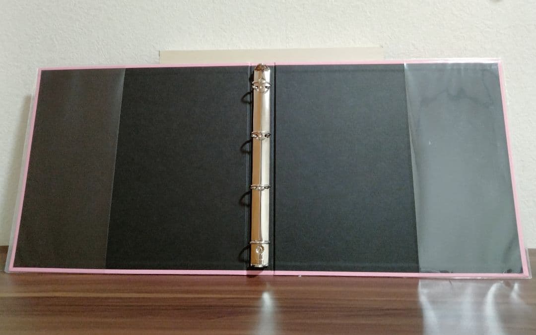 DELFONICS デルフォニクス フォトアルバム L ３冊 粘着台紙47シート