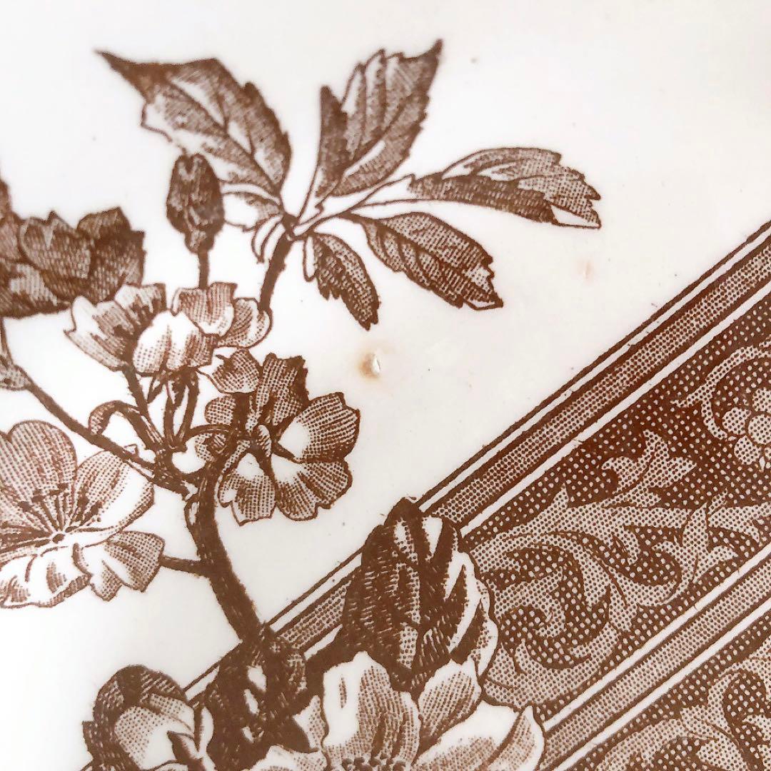 グランデポ　エミールブルジョワ　ディナープレート E フランスアンティーク食器