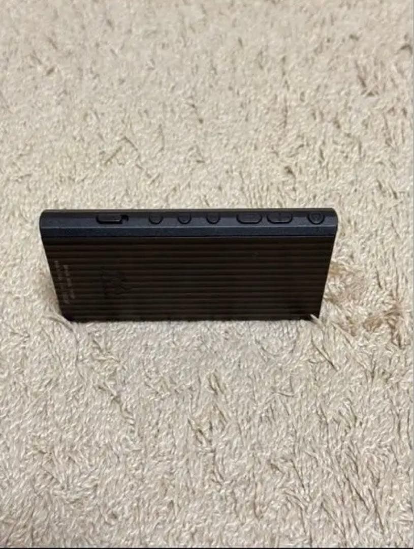 SONY WALKMAN NW-A306 32GB ケース+128GB SD付き