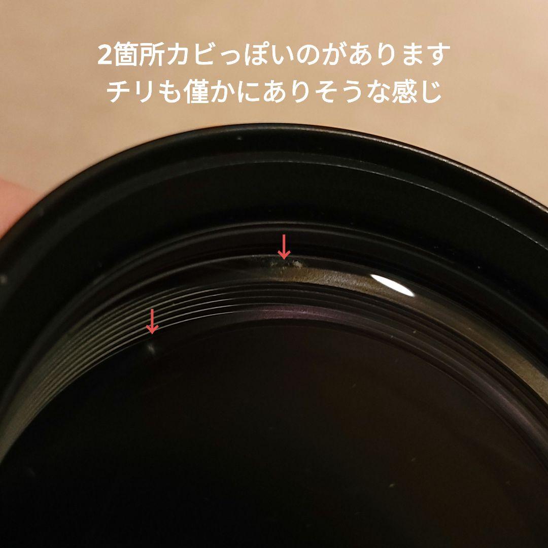 お宝☆コンデジ神器 OLYMPUS STYLUS 1 + TCON-17X