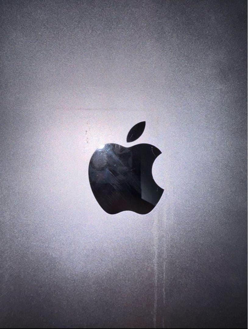 【中古品】iPadpro(12.9インチ)(第2世代)256GB セルラー