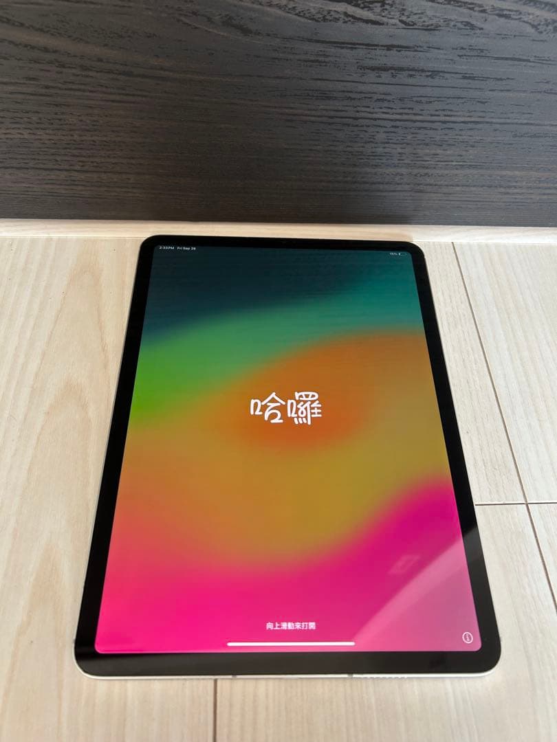 Apple iPad Pro 第4世代11インチ 256GB Wi-Fiモデル